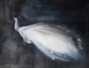 Ätherischer Weißer Pfau von Christine Lindstrom