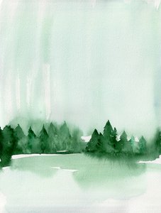 Nebliger Waldsee von Christine Lindstrom
