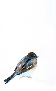Sperling auf Aquarell von Christine Lindstrom