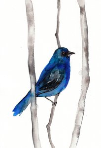 Lebhafter blauer Singvogel von Christine Lindstrom