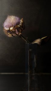 Stimmungsvolle Artischockenblüte von Christine SUISSIA