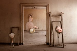 Flamingo-Balletttraum