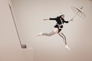 Harlekins Launischer Flug von Christine von Diepenbroek