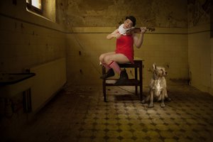 Skurrile Zimmer-Serenade von Christine von Diepenbroek