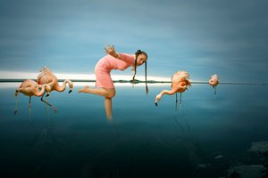 Frau unter Flamingos von Christine von Diepenbroek