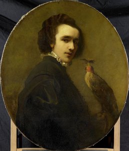 Der Falkner