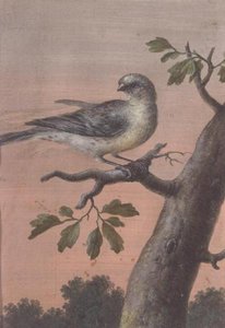 Vogel auf einem Ast