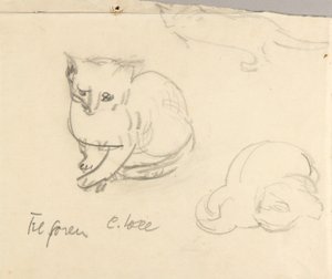 Katzen