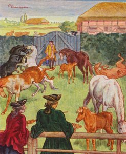 Gestüt von Christophe (1856 1945)