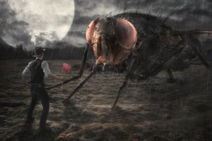 Riesige Fliegenbegegnung von Christophe Kiciak