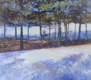 Gefrorener See, New York State von Christopher Glanville