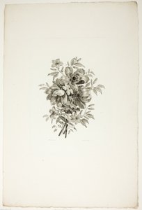 Blumenstrauß mit Mohnblumen, aus der Sammlung verschiedener Blumensträuße, erfunden und gezeichnet von Jean Pillement und graviert von P. C. Canot