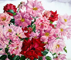 Rote und rosa Rosen, 2008