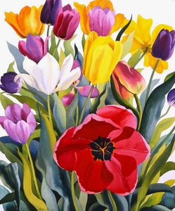 Tulpen, 2007 von Christopher Ryland