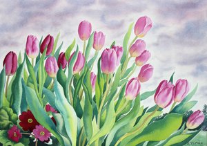 Tulpen am Fenster von Christopher Ryland
