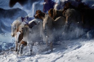 Ätherische Wildpferde