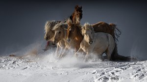 Wilde Pferde im Schnee von Chuanxu Ren