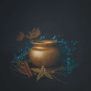  von Cicek Kiral