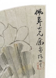 Lotusblüte und Blätter