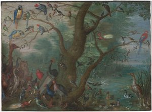 Konzert der Vögel von Circle of Jan van Kessel the Elder
