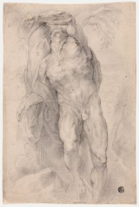 Männlicher Akt an einen Baum gebunden von Circle of Peter Paul Rubens