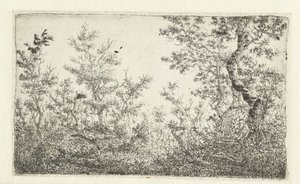 Lichtung im Wald von Claes van Beresteyn