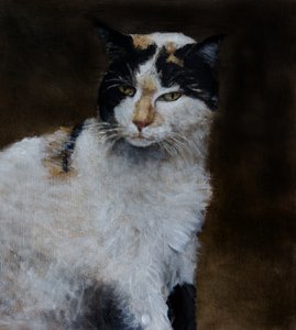 Wachsame Calico-Katze