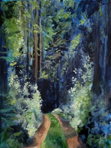 Sonniger Waldweg
