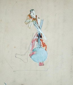 Nervensystem im Kopf einer Katze, 25. Mai 1842