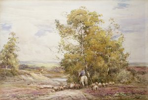 Dorset Pastorale