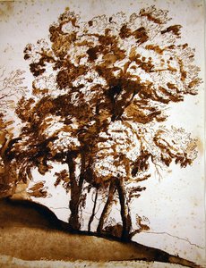 Eine Gruppe von Bäumen im Sonnenlicht von Claude Lorrain