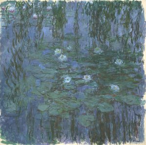 Blaue Seerosen