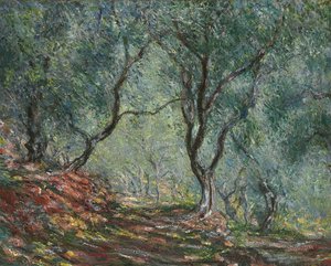 Olivenbäume im Garten Moreno, 1884