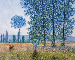 Felder im Frühling von Claude Monet
