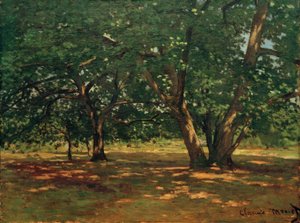 Wald von Fontainebleau