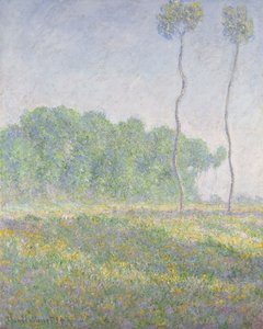 Landschaft im Frühling