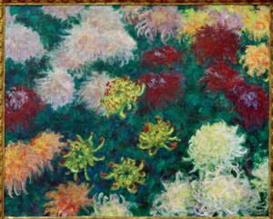 Chrysanthemenbeet