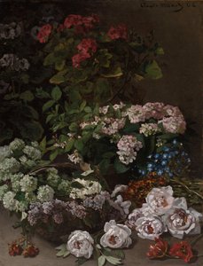 Frühlingsblumen