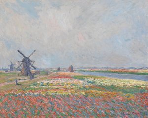 Tulpenfelder bei Den Haag