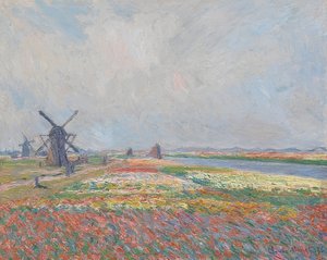 Tulpenfelder in der Nähe von Den Haag