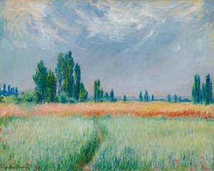 Weizenfeld