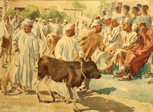 Viehmarkt, Nizwa, Oman (1), 2018