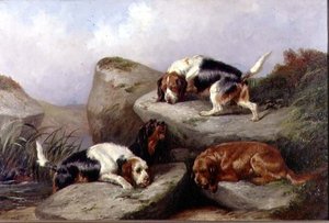 Otterhunde, 1889