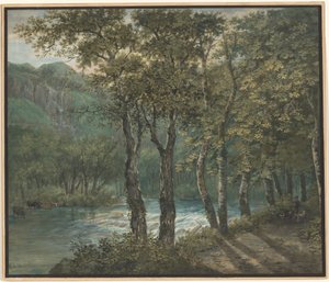 Sonnenlicht, das durch Bäume am Fluss Sihl filtert