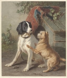 Zwei Hunde bei einer Hütte