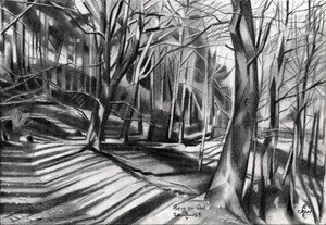 Waldweg-Schatten