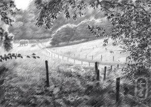Friedlicher Landweg von Corné Akkers