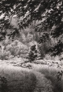 Friedlicher Waldweg von Corné Akkers