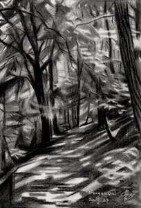 Sonniger Waldweg