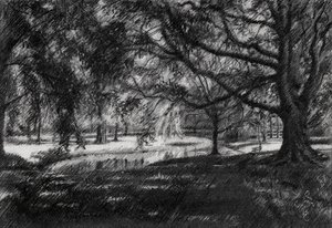 Sonniger Parkweg von Corné Akkers